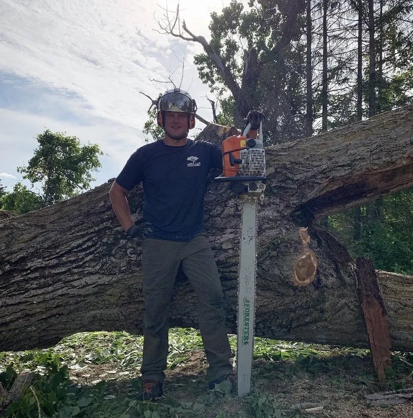 Wellner Arboriculture tree service project
